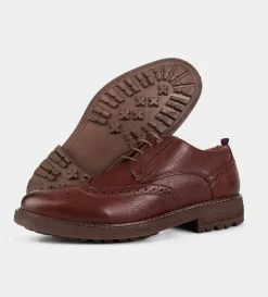Outlet DERBY WINGTIP PIEL CAFÉ Hombre Casual